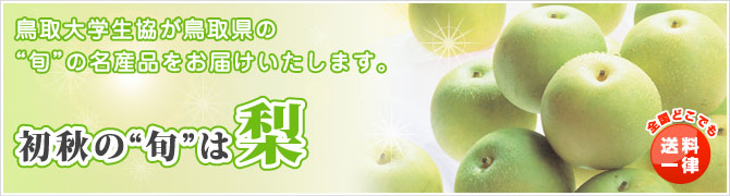 食べてごしなれ 鳥取大学生協が鳥取県の旬の名産品をお届いたします。初秋は梨｜20世紀梨・豊水
